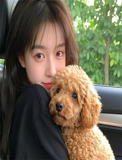 《战火中的芭蕾》故事脉络梳理精彩绝伦的：主线与支线情节完整技术解读